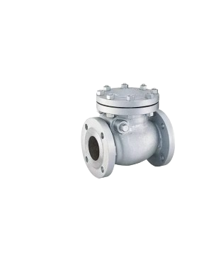 Check Valve